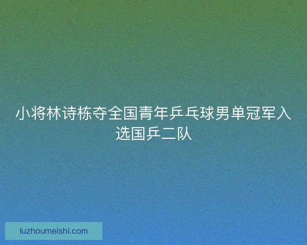 小将林诗栋夺全国青年乒乓球男单冠军入选国乒二队